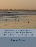 30 Worksheets - Find Predecessor and Successor of 3 Digit Numbers: Math Practice Workbook