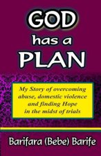 God Has A Plan: My story of overcoming abuse, domestic violence and finding hope in the midst of the trials