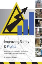 Improving Safety & Profits: A practical guide to strategic improvement in OHS for a sustainable organisation