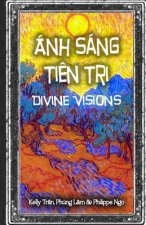 Divine Visions: Guide for Tarot Beginners