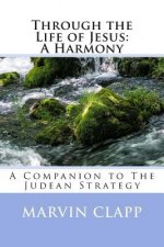 Through the Life of Jesus: A Harmony