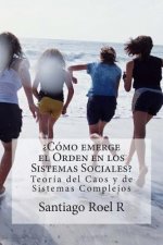 ?Cómo emerge el Orden en los Sistemas Sociales?: Teoría del Caos y Teoría de Sistemas Complejos Aplicadas a la prevención de la violencia y la delincu