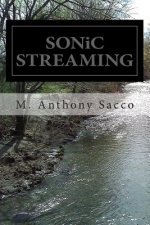 SONiC STREAMING: {Micro-Verse, Middle-Verse & Multi-Verse}