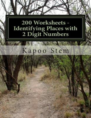 200 Worksheets - Identifying Places with 2 Digit Numbers: Math Practice Workbook