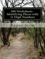 200 Worksheets - Identifying Places with 11 Digit Numbers: Math Practice Workbook