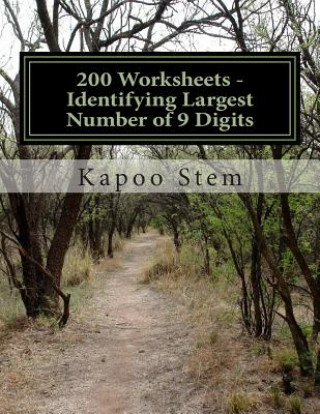 200 Worksheets - Identifying Largest Number of 9 Digits: Math Practice Workbook