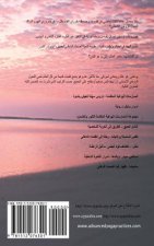 The Secrets of Wilder - A Story of Inner Silence, Ecstasy and Enlightenment (Arabic Translation)