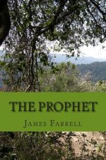 The Prophet: A Superhero Novel