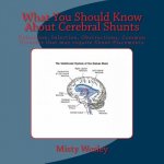What You Should Know About Cerebral Shunts: Definition, Infection, Obstructions, Common Diseases that may require Shunt Placements