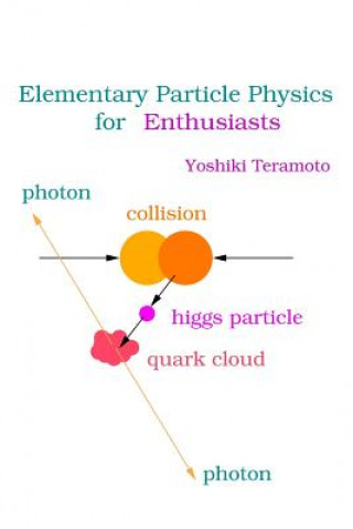 Elementary Particle Physics for Enthusiasts