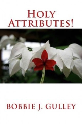 Holy Attributes!