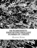 500 Worksheets - Identifying Smallest Number of 2 Digits: Math Practice Workbook
