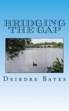Bridging the Gap