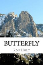 Butterfly: This is an account of the problems affecting a radical teacher who comes to the notice of the security services and is