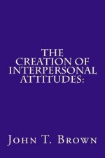 The Creation of Interpersonal Attitudes: : An Empirical Analysis