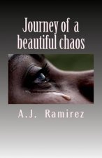 Journey of a beautiful chaos