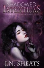 Shadowed Intentions