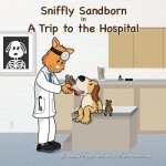 Sniffly Sandborn: in A Trip to the Hospital