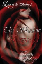 Light in the Shadow 2: : The Shadow Exposed
