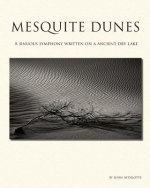 Mesquite Dunes: A sinuous symphony written on a ancient dry lake