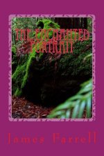 The Enchanted Portrait: 3rd Tale of the Stone-king