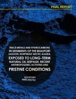 Trace Metals and Hydrocarbons in Sediments of the Beaufort Lagoon, Northeast Arctic Alaska, Exposed to Long-term Natural Oil Seepage, Recent Anthropog