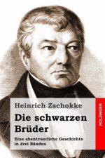 Die schwarzen Brüder: Eine abenteuerliche Geschichte in drei Bänden