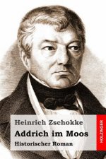Addrich im Moos: Historischer Roman