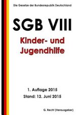 SGB VIII - Kinder- und Jugendhilfe, 1. Auflage 2015