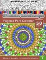 Libros Para Colorear Para Adultos: Mandalas Calaidoscopio Paginas Para Colorear (Libros de Mandalas Intrincados Para Adultos) volumen 1