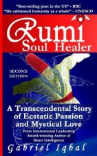 Rumi Soul Healer: A Transcendental Story of Ecstatic Passion and Mystical Love