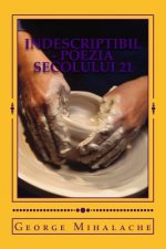 Indescriptibil - poezia secolului 21: O viata in versuri, prin ochii unui calator in eternitate