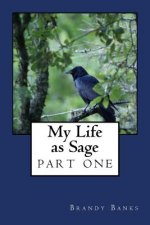 My Life as Sage: Part One