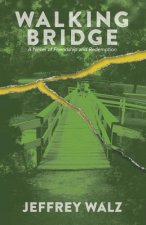 Walking Bridge: A Novel of Friendship and Redemption