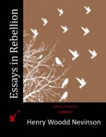 Essays in Rebellion