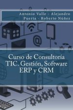 Curso de Consultoría TIC. Gestión, Software ERP y CRM