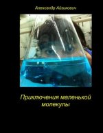 The Adventures of a Small Molecule. Priklyucheniya Malenjkoy Molekuli.: This Story - A Fairy Tale 