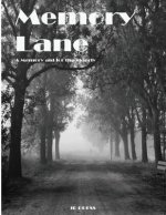 Memory Lane: A Memory Aid For the Elderly