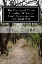 The Drama of Three Hundred & Sixty-Five Days Scenes in the Great War
