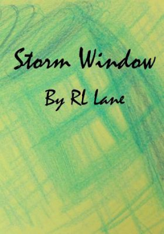 Storm Window