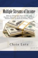 Multiple Streams of Income: How to Diversify Your Career and Protect Yourself, Your Income, and Your Future Even in Hard Economic Times