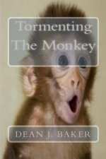 Tormenting The Monkey