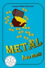 Metal - Large Print Edition: A Treasure Hunt