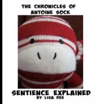 The Chronicles of Antoine Sock: Sentience Explained