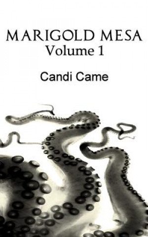 Marigold Mesa: Volume 1