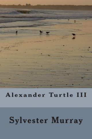Alexander Turtle III