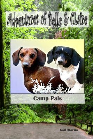 Adventures of Belle and Claire Camp Pals: Camp Pals