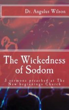 The Wickedness of Sodom: 3 sermons preached at the New beginnings Church