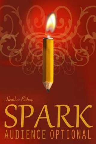 Spark- Audience Optional