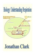 Biology: Understanding Respiration